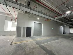 Ct Foodnex (D25), Factory #617044541